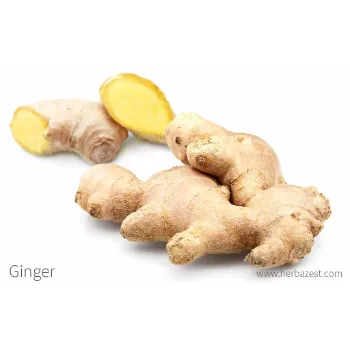 Ginger (20)-9974411-82874.webp